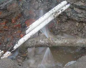 阳西水管维修费用是多少