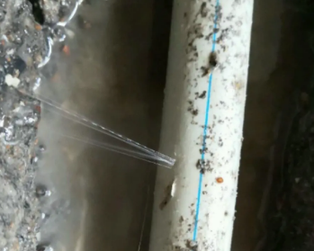 阳西卫生间测漏水多少钱